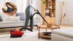 Bosch Serie 6 ProAnimal BGL6PET3 tolmuimeja, punane - Pilt 3
