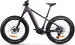 GZR Dominanc-e 3.0 elektriline fatbike 17" - Pilt 3