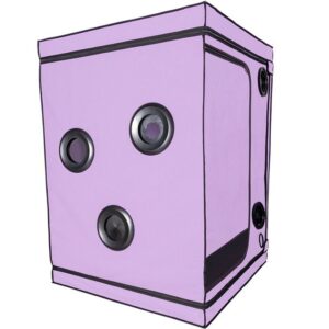 KINK CLUB CABIN SCANDALE PURPLE