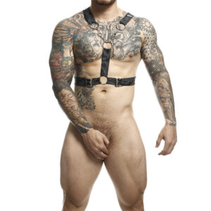 DNGEON SILVER HARNESS WITH CHAINS ONE SIZE