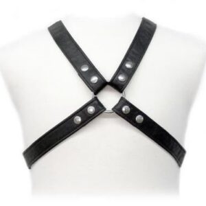 LASIC HARNESS IN GARMENT