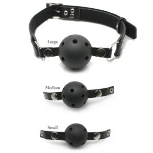 SERIES BALL GAG TRAINING SYSTEM