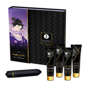 NAUGHTY GEISHA KIT