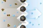 Bosch BBZAFGALL tolmukott, 4 tk - Pilt 5