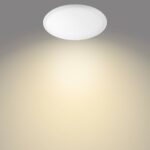 Philipsi MyLiving Wawel laevalgusti, valge, 38 cm, 2000 lm - Pilt 2