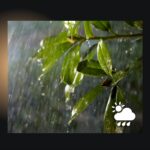 Philips Hue õuevalgusriba, 5 m, õues kasutamiseks - Pilt 5