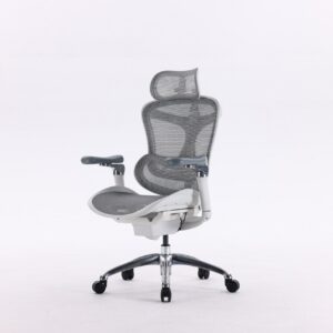 Sihoo Doro C300 ergonoomiline kontoritool, valge