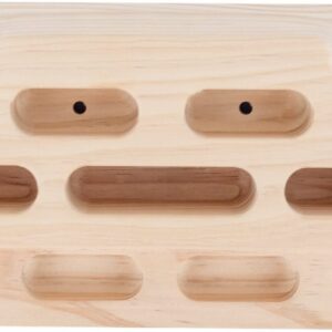 Evolver Training Board harjoituslauta