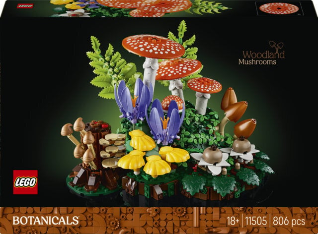 2_1017959-640x472-1.jpg LEGO Botanicals 11505 - Metsaseenid - Pilt 1