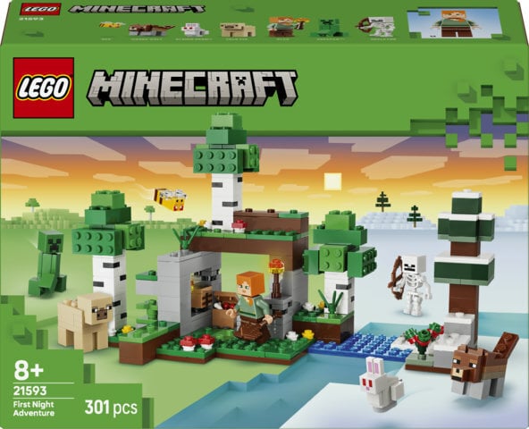 LEGO Minecraft 21593 - Esimese öö seiklus