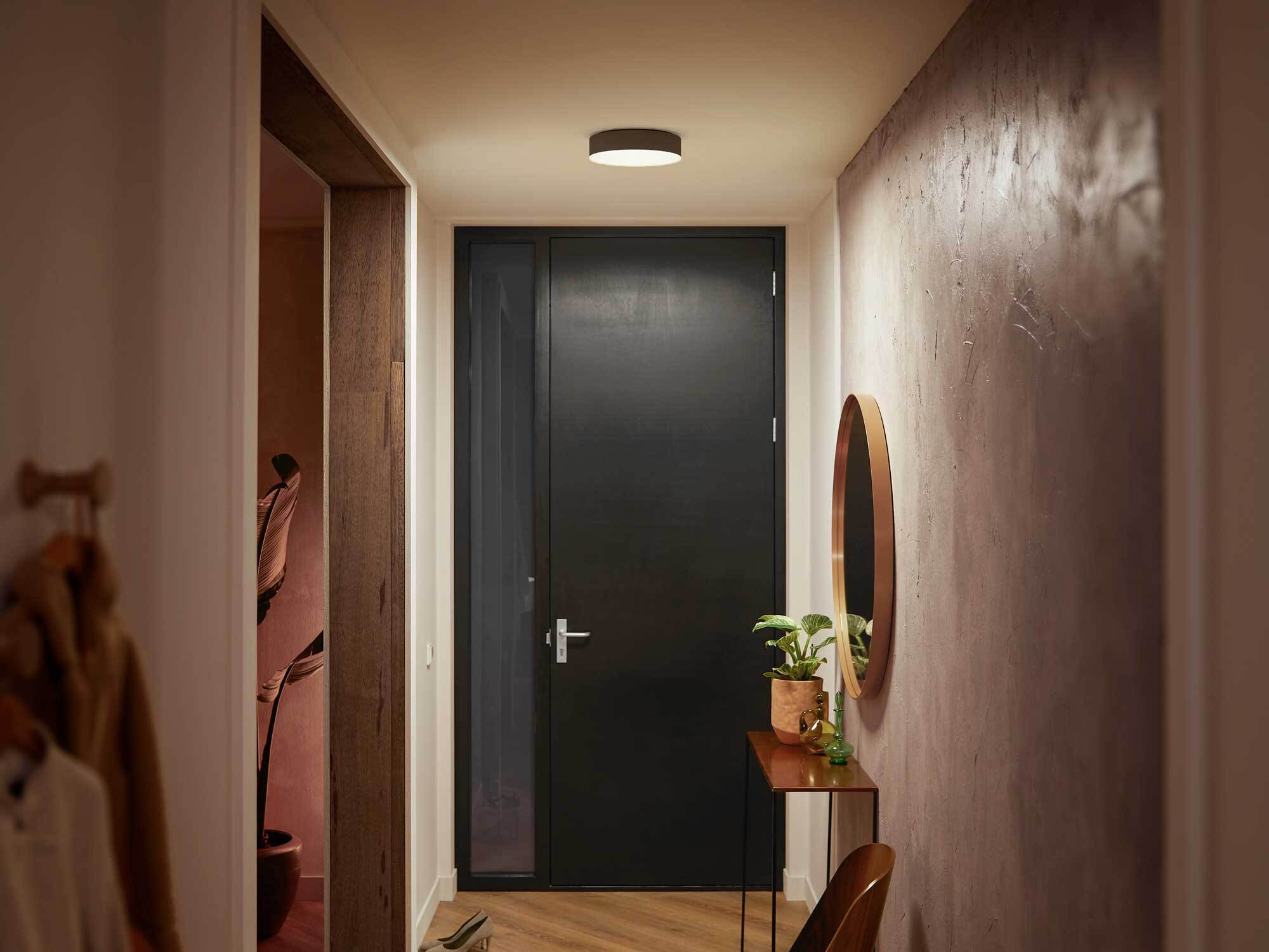 Philips Hue Enrave S valge meeleoluga nutikas laevalgusti, väike, must - Image 5
