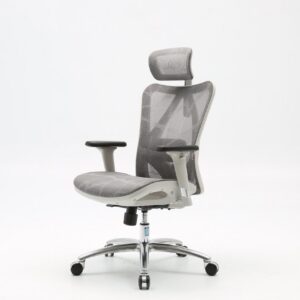 Sihoo M57 ergonoomiline kontoritool, hall