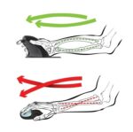 Top-Cousins ​​​​Penguin 3-in-1 vertikaalne hiir, suur - Pilt 5