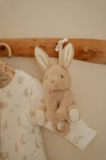 Little Dutch beebijänku Muusikakarp - Pilt 3