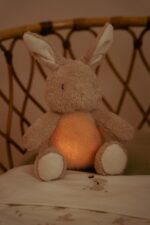 Little Dutch Bunny öölamp muusikaga - Pilt 5