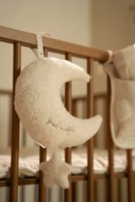 Little Dutch Moon muusikakarp - Pilt 5