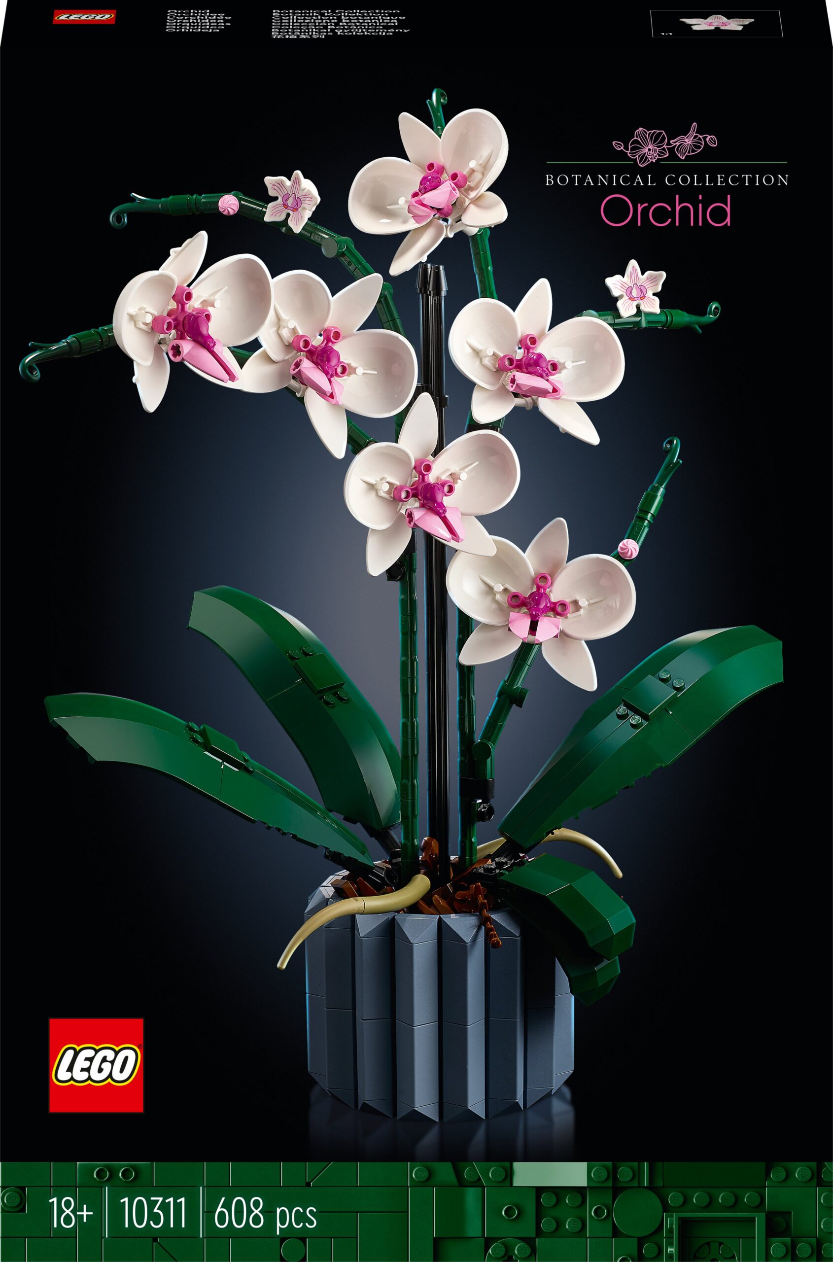 2_785032-2640x4000-1.jpg LEGO Botanical 10311 - Orhidee - Pilt 1