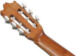Ibanez GA3ECE-OAM kitarr mikrofoniga - Pilt 2