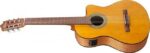 Ibanez GA3ECE-OAM kitarr mikrofoniga - Pilt 4