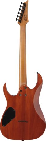 Ibanez GRGR221FA-TDK elektrikitarr, läbipaistev indigo must - Pilt 3