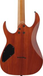 Ibanez GRGR221FA-TDK elektrikitarr, läbipaistev indigo must - Pilt 4