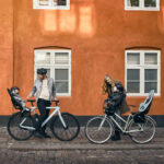 Thule Yepp 2 Maxi lapseiste, pakiraamile kinnitatav, keskmine sinine - Pilt 5