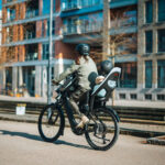 Thule Yepp 2 Maxi lapseiste, raamile kinnitatav, pehme liiv - Pilt 4