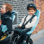 Thule Yepp 2 Maxi lapseiste, raamile kinnitatav, pehme liiv - Pilt 5