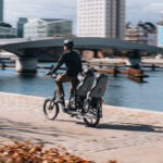 Thule Yepp Nexxt 2 Maxi lapseiste, pakiraamile kinnitatav, tume kiltkivi - Pilt 4