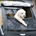 Thule Courier Pet Accessory koerahaagise komplekt - Pilt 5
