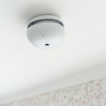 Housegard Pebble Mini SA702 suitsuandur, optiline - Pilt 2