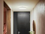 Philips Hue Enrave M valge meeleoluga nutikas laevalgusti, keskmine, valge - Pilt 5