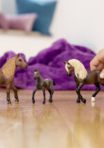 Schleich Horse Club 13953 Perunpasotama - Pilt 3
