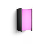 Philips Hue Turaco õueseinalamp, antratsiit, A60 WCA - Pilt 2