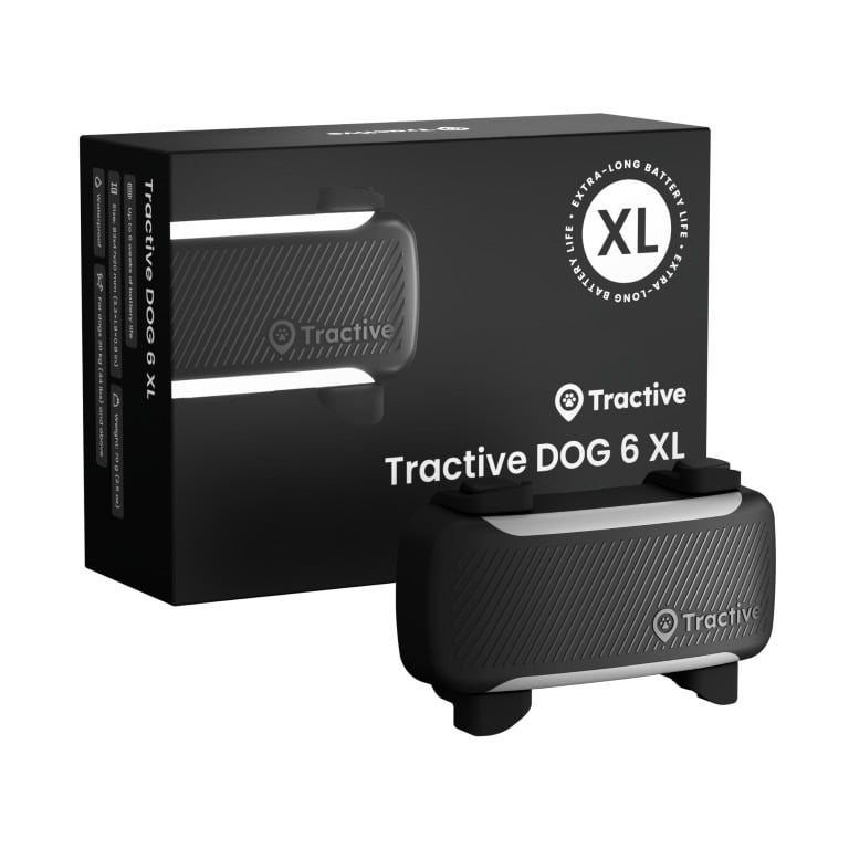 Tractive DOG 6 XL GPS-koerakaelarihm