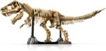 LEGO Jurassic World 76968 Dinosauruse fossiilid: Tyrannosaurus rex - Pilt 2