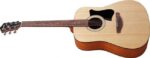 Ibanez V40-OPN akustiline kitarr - Pilt 4