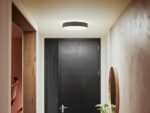 Philips Hue Enrave M valge meeleolu nutikas laevalgusti, keskmine, must - Pilt 4