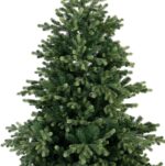 Everlands Geneva fir päris jõulupuu, 210 cm, roheline - Pilt 4