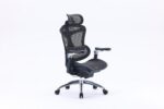 Sihoo Doro C300 ergonoomiline kontoritool, must - Pilt 2
