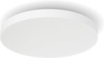 Philips Hue Datura õhuke laevalgusti RD S - Pilt 2