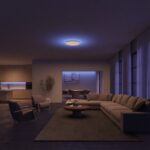 Philips Hue Datura õhuke laevalgusti RD S - Pilt 5