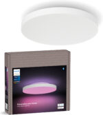 Philips Hue Datura õhuke laevalgusti RD S
