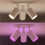 Philips Hue White and Color Ambiance Fugato nutikas kohtvalgusti, valge, 3 x 4.2W, GU10 - Pilt 2