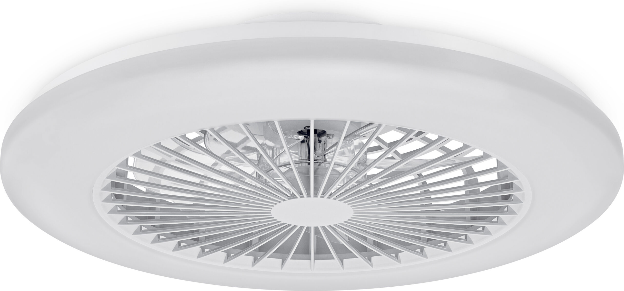 Philips Amigo lameda ventilaatoriga laevalgusti IR RD 25W+60W ventilaatorivalgusti, valge